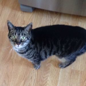 Meet your Posher, Mary ellen